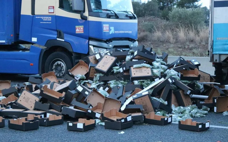 Escalada de tensión : Agricultores españoles atacan camiones marroquíes, COMADER denuncia