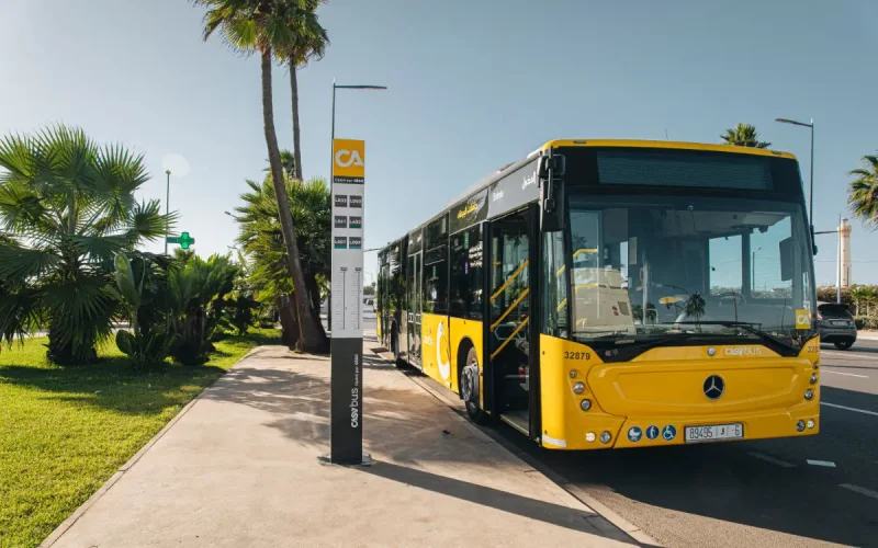 Escándalo en Casablanca : Controladores de autobús desatan violencia y polémica