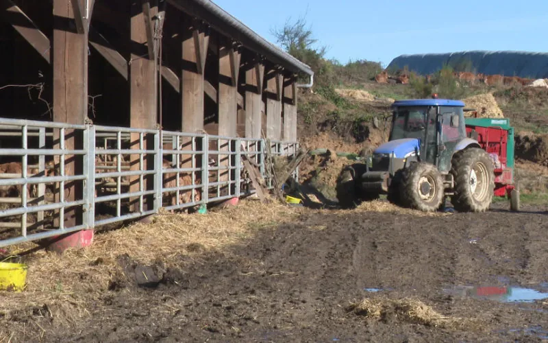 Escándalo en Corrèze : Explotación laboral y viviendas insalubres sacuden a la comunidad