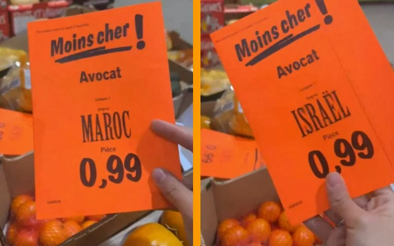 Escándalo en Lidl : Aguacates israelíes etiquetados como marroquíes en plena crisis de Gaza