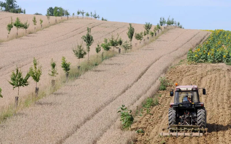 Escándalo en Lot-et-Garonne : Agricultora explotó a 20 marroquíes en condiciones de esclavitud moderna