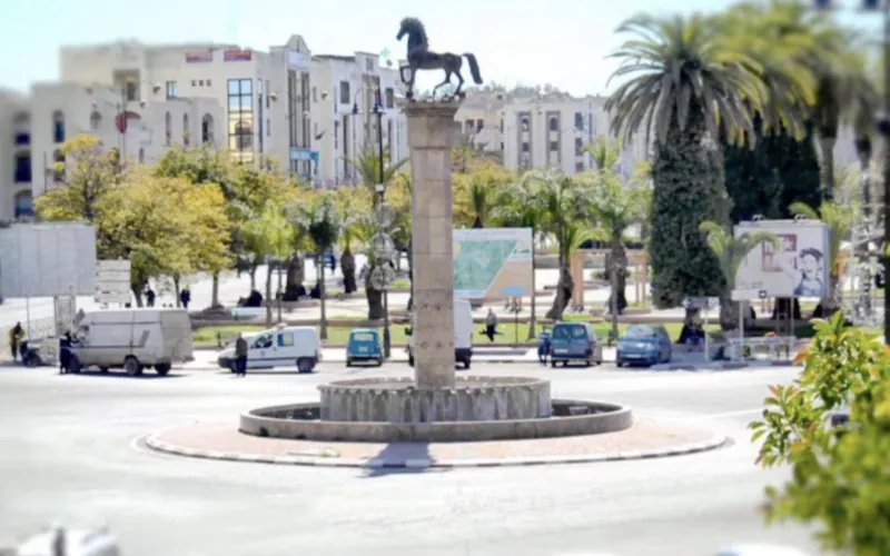 Escándalo en Settat : Diputado y médica implicados en trama de expropiación ilegal de tierras