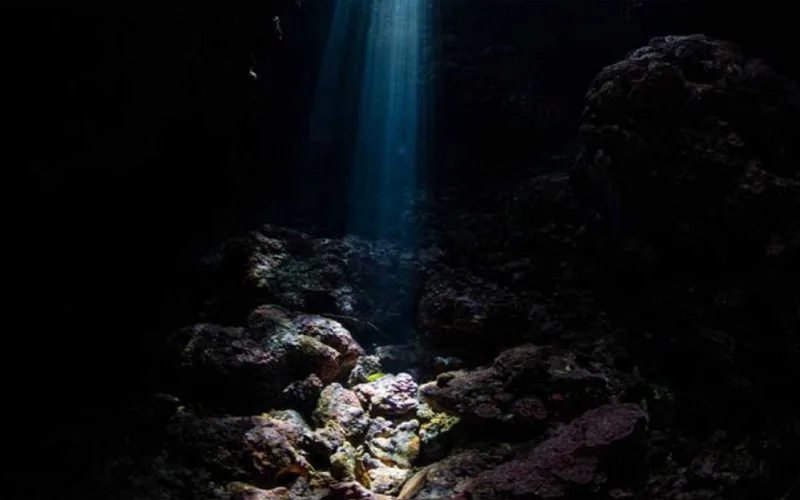 España y Marruecos : Tensión submarina por el tesoro verde del monte Trópico