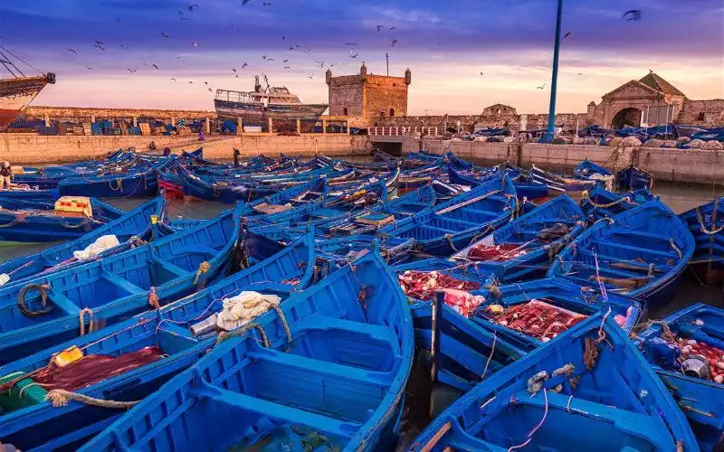 Essaouira : El nuevo paraíso de jubilados franceses en Marruecos bate récords