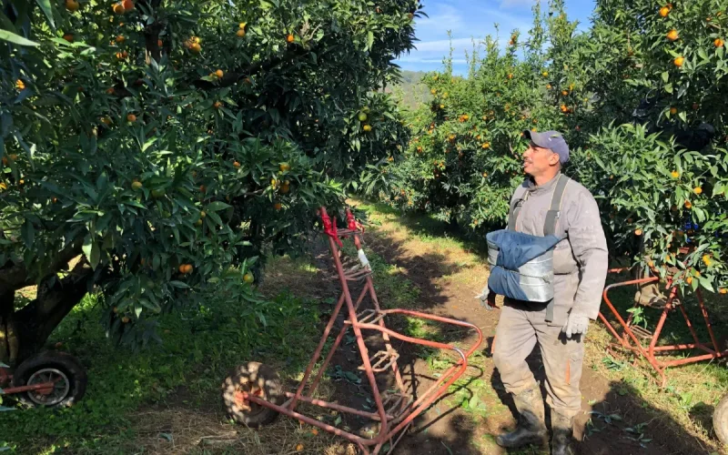 Francia busca trabajadores, pero rechaza masivamente a los marroquíes
