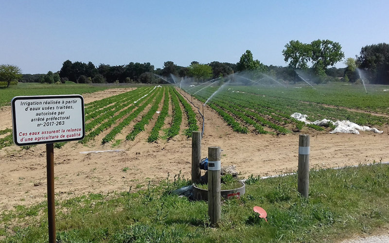 Francia revoluciona la agricultura : Aguas residuales salvarán viñedos y huertos del Mediterráneo
