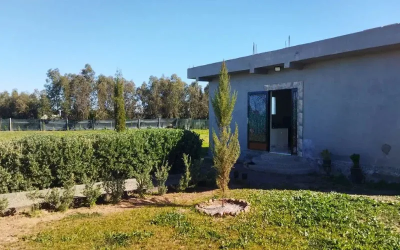 Gendarmería Real desmantela red de robo de ganado en Berrechid : 3 detenidos