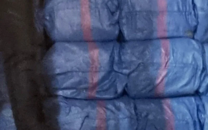 Golpe al narcotráfico : Marruecos decomisa 11,5 toneladas de cannabis en operativo policial