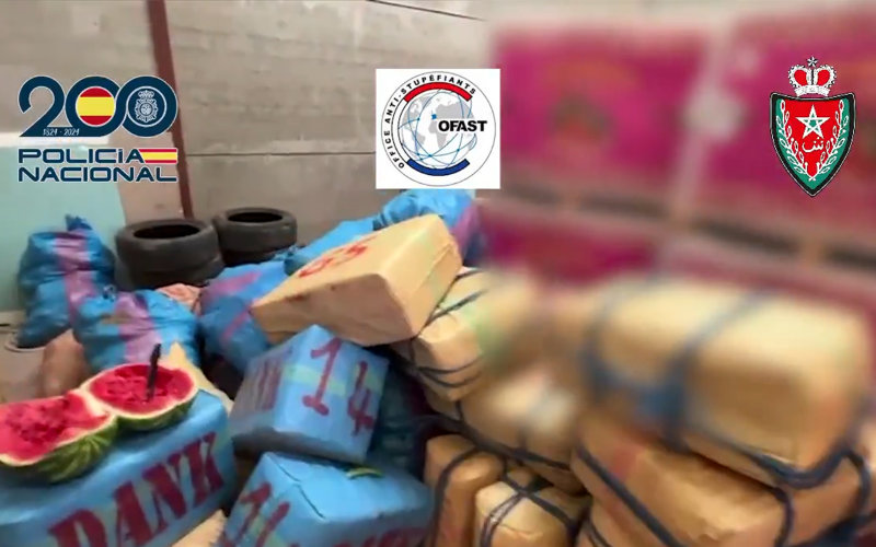 Golpe histórico al narcotráfico : Incautan 15 toneladas de hachís camuflado en frutas en Almería