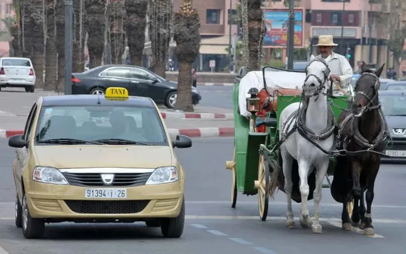 Guerra de taxis en Marruecos : Laftit finalmente ataca a los "lobbies" de los grimates