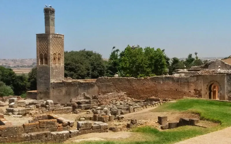 Hallazgo histórico en Rabat : Desenterrada ciudad portuaria fenicia cinco veces mayor que Pompeya