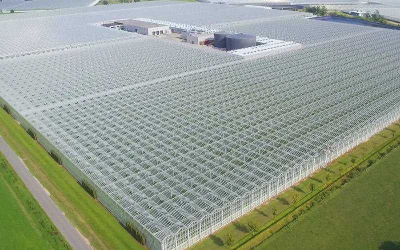 Innovación agrícola : Empresa belga inaugura invernadero de alta tecnología en Agadir