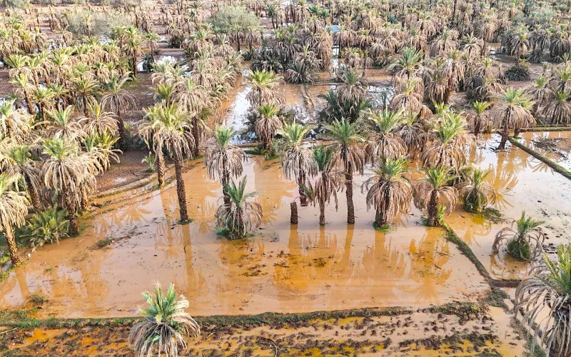 Inundaciones en Marruecos : Ouarzazate y Tinghir aisladas por lluvias torrenciales