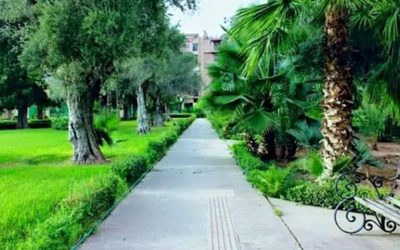 Marrakech se seca : La crisis del agua amenaza los escasos espacios verdes
