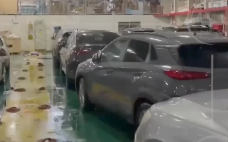 Marroquíes residentes en el extranjero (MRE) vivieron un infierno entre Algeciras y Ceuta