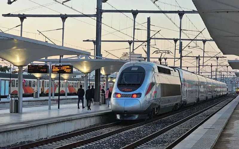 Marruecos acelera : Estudio del TGV Marrakech-Agadir concluirá en 3 meses