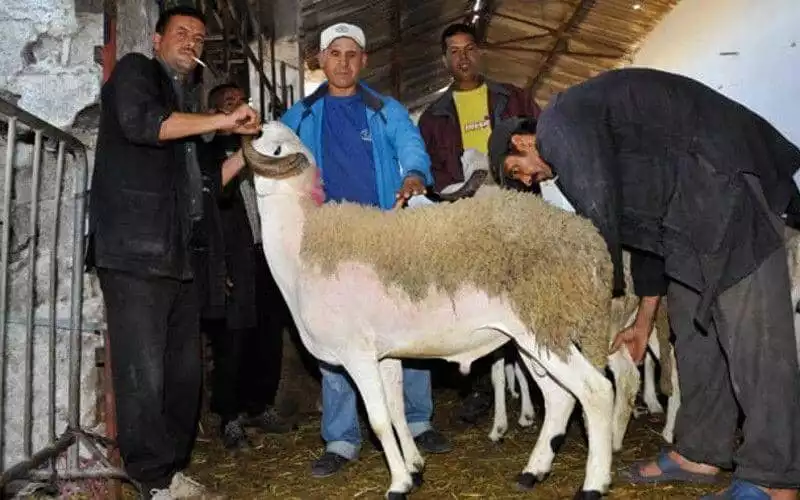 Marruecos anuncia la fecha del Aïd al-Adha 2024 : Claves de la celebración islámica
