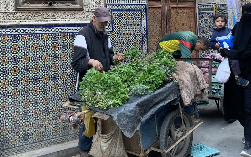 Marruecos : El auge imparable del comercio ambulante desafía las políticas urbanas