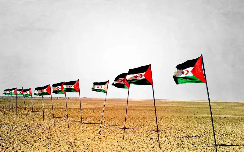 Marruecos avanza 40 km en el Sáhara : Golpe estratégico al Frente Polisario