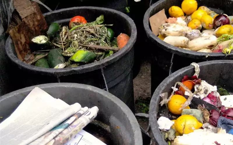 Marruecos bate récord : 113 kg de comida desperdiciada por habitante en 2022