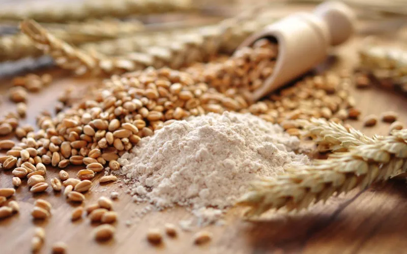 Marruecos busca 2 millones de toneladas de trigo : La sequía agrava la crisis alimentaria
