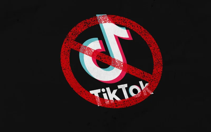 Marruecos debate el futuro de TikTok : ¿Prohibición total o regulación estricta ?