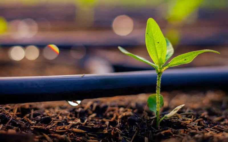 Marruecos y Francia : Alianza millonaria para liderar la revolución energética europea