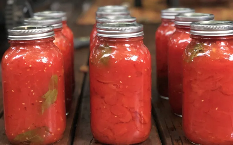 Marruecos impone aranceles del 30% al tomate egipcio por competencia desleal