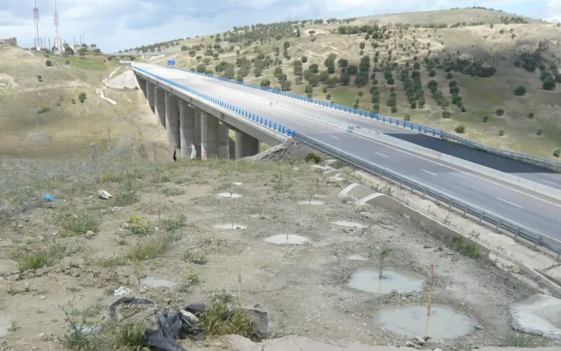 Marruecos invierte 10.000 millones en infraestructuras para potenciar Nador West Med