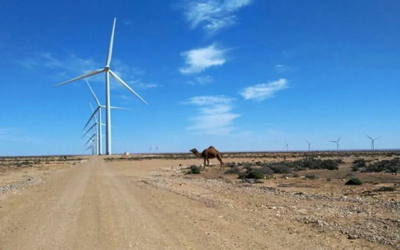 Marruecos lidera la revolución energética : Laâyoune se prepara para la primera central de hidrógeno verde en África