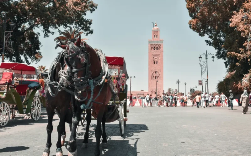 Marruecos, Refugio Preferido de Criminales Franceses