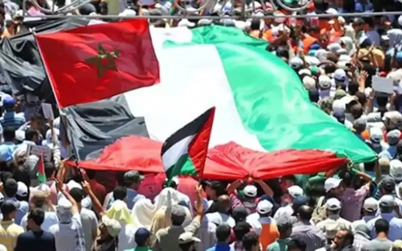 Marruecos se alza : Miles protestan en Casablanca contra lazos con Israel y genocidio en Gaza