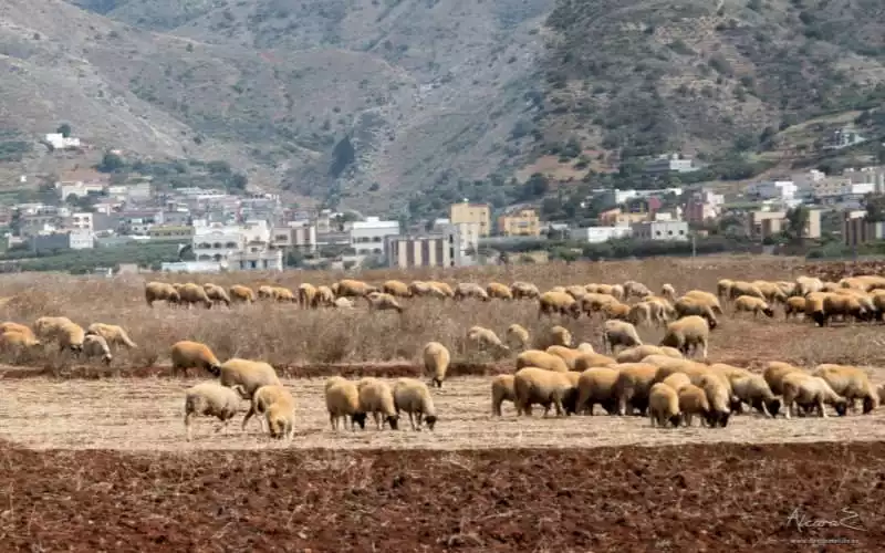 Marruecos : Sismo de 2,6 grados sacude Al Hoceïma sin causar daños