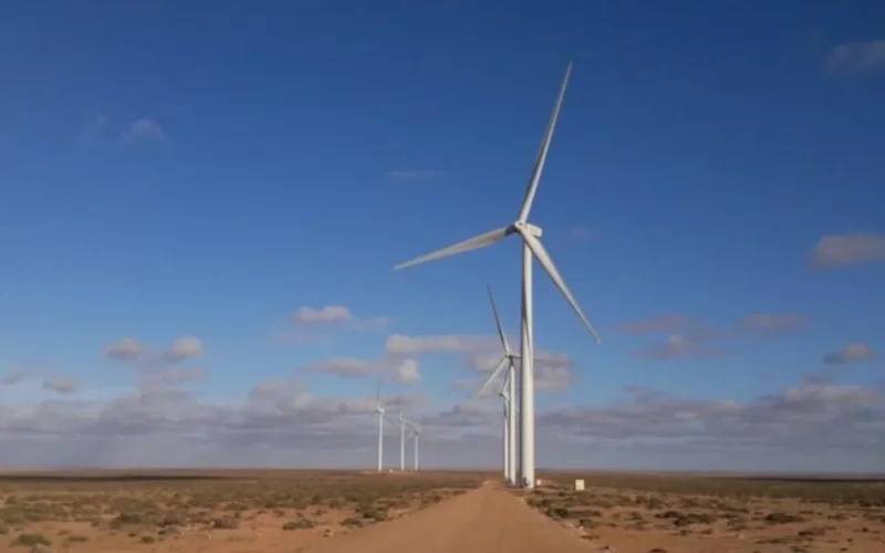 Nareva acelera en Boujdour con un nuevo parque eólico de más de 300 MW