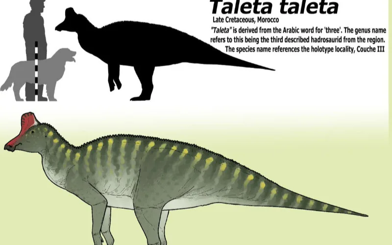 Nuevo dinosaurio marroquí desafía teorías de aislamiento continental en el Cretácico