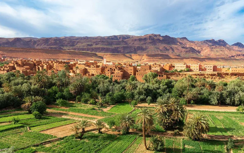 Ola de calor en Marruecos : Temperaturas récord y proyecciones climáticas alarmantes