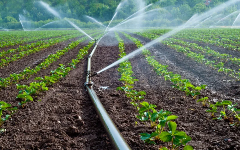 Operación nocturna en Marruecos : Desmantelan red de robo masivo de agua de riego