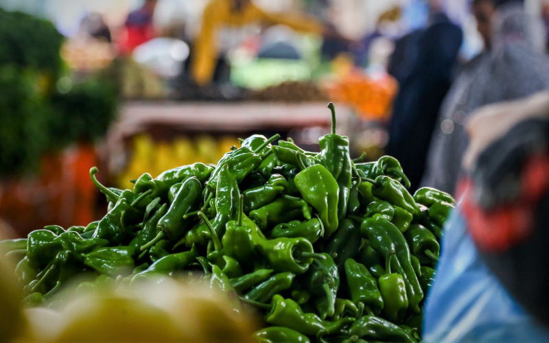 Pimientos : Marruecos aplasta a la competencia en el mercado español