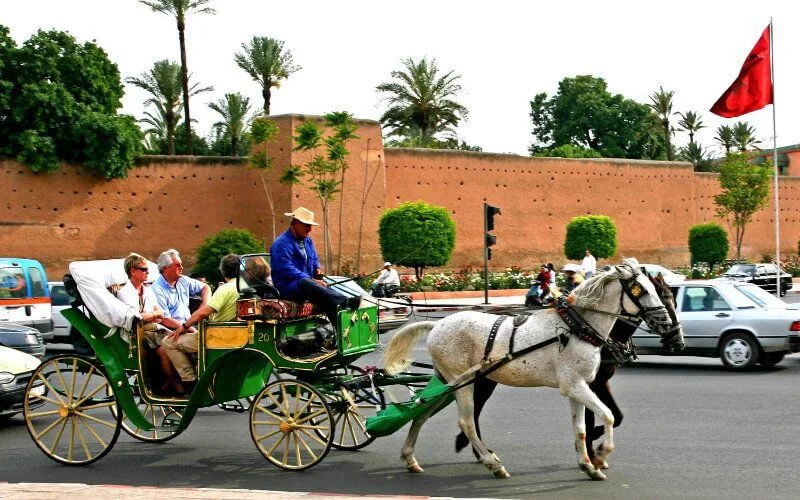 Polémica en Marrakech : La icónica plaza Jemaa El-Fna se reinventa sin carruajes