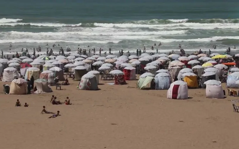 Polémica en Marruecos : Carpas invaden playas y alteran el turismo costero