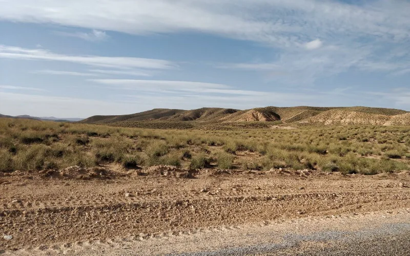 Protesta en Figuig : Terratenientes claman justicia ante el Rey por despojo de tierras