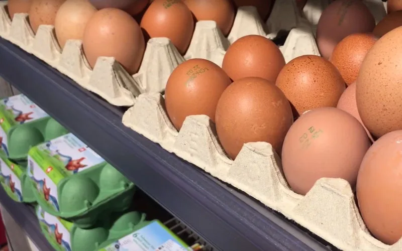 Ramadán y crisis avícola : Polémica por declaraciones sobre escasez de huevos en Francia