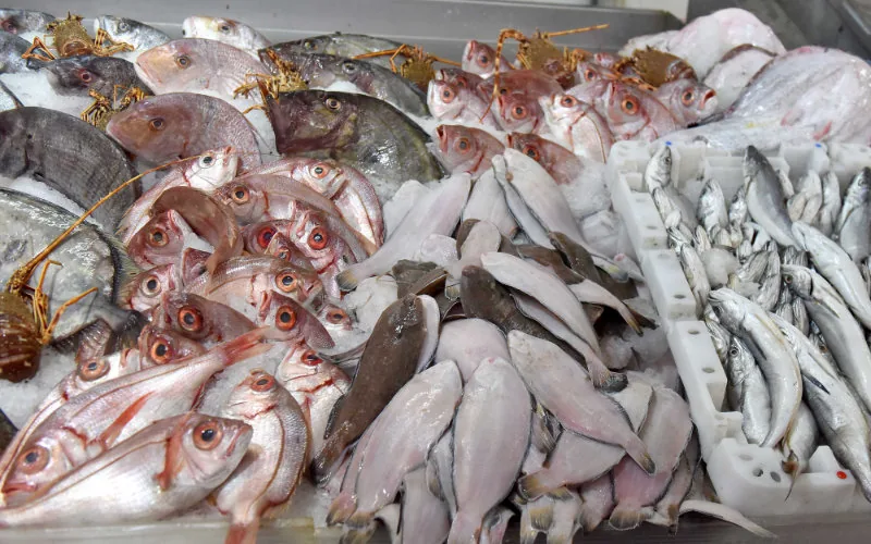 Ramadán en Marruecos : La crisis del pescado dispara los precios y alarma a consumidores
