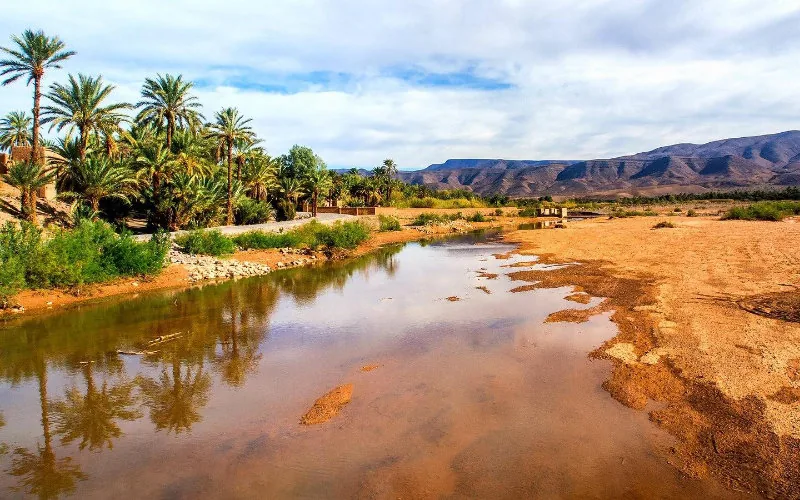 Sequía en Marruecos : Gobierno implementa medidas drásticas para enfrentar crisis hídrica
