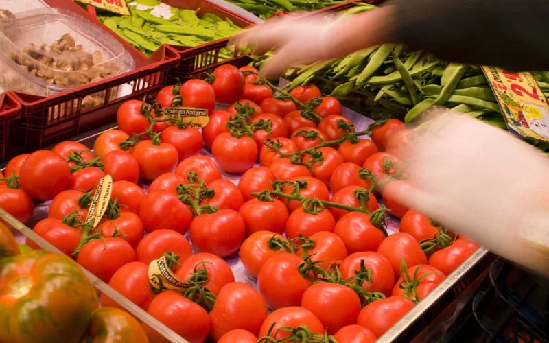 El tomate marroquí desata polémica en Francia : ¿Proteccionismo o competencia justa ?