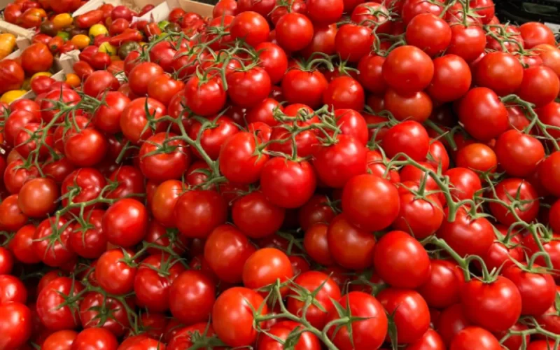 Tomates a 5 € el kilo : ¡Por qué la crisis en Marruecos dispara tu ticket de la compra en Francia !