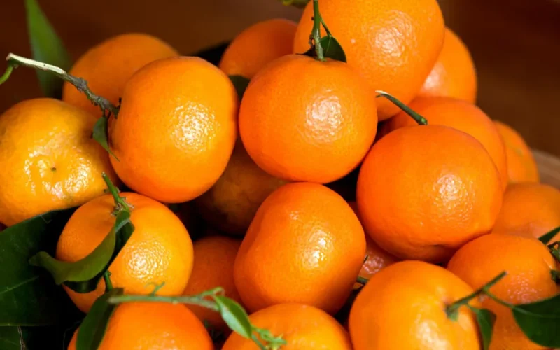 Los tomates y las mandarinas impulsan las exportaciones agrícolas marroquíes hasta 2,38 millones de toneladas